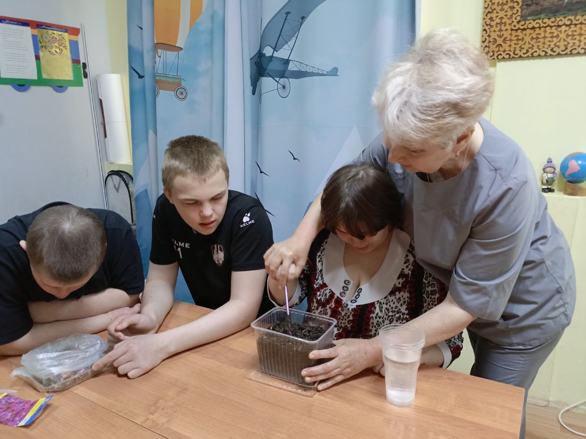 Посев семян цветов на рассаду