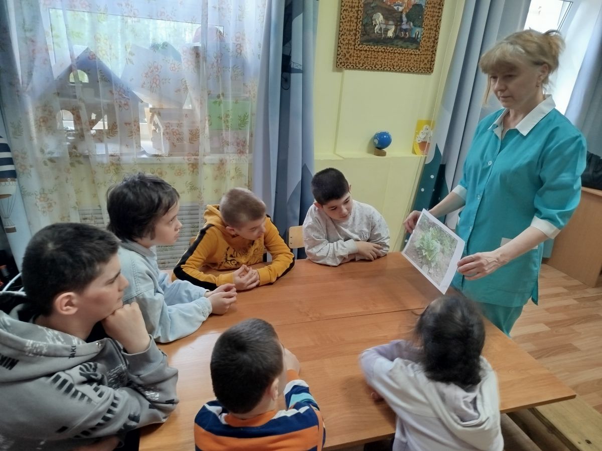 Зеленая аптека. Подорожник