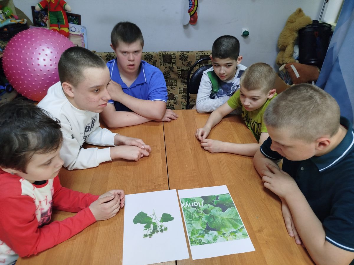 Зеленая аптека. Лопух большой