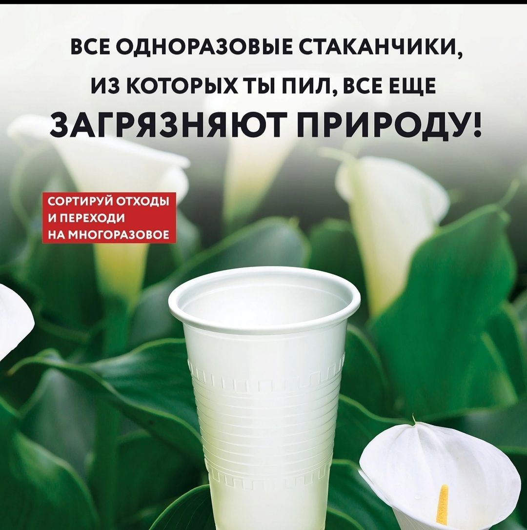 Правила, которые помогут сберечь природу в это время