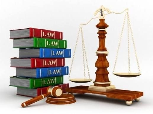 Государственная поддержка опеки и попечительства