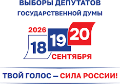 Выборы в России