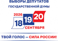 Выборы в России