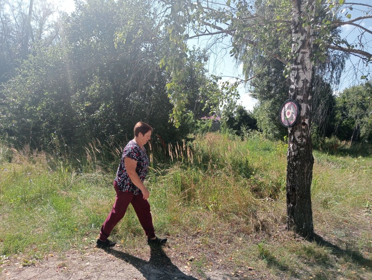 Дартс