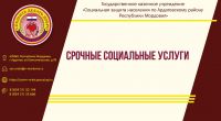 Срочные социальные услуги
