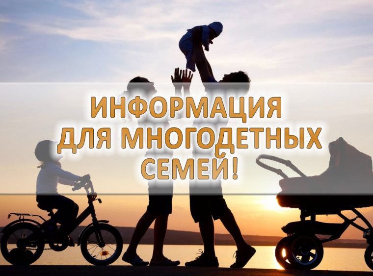 Продление выплаты на транспортные расходы детям из многодетных семей