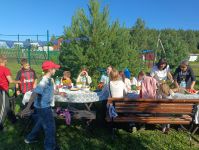 В селе Новая Пырма реализуется проект &laquo;Семейное движение "Зарядись селом"&raquo;