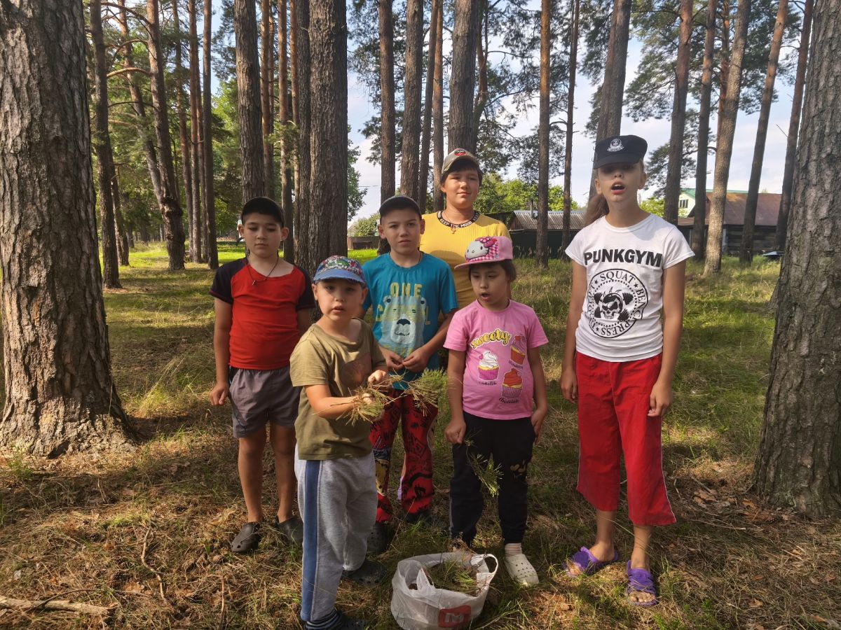 Сбор листьев, шишек, желудей