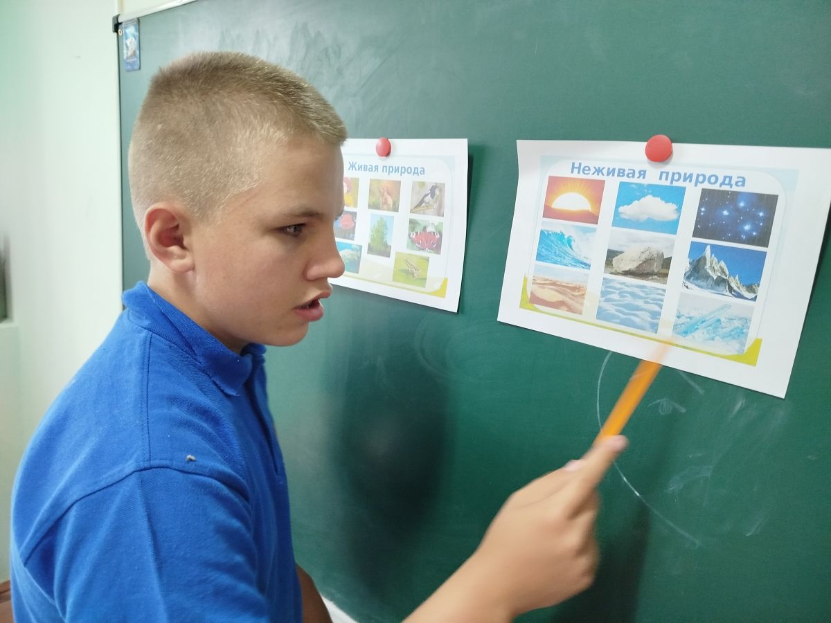 Живая и неживая природа