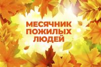 День пожилых людей в п.Лесозавод