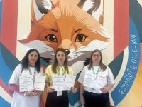 Образовательная программа &laquo;Основы социальной работы с многодетной семьей&raquo;