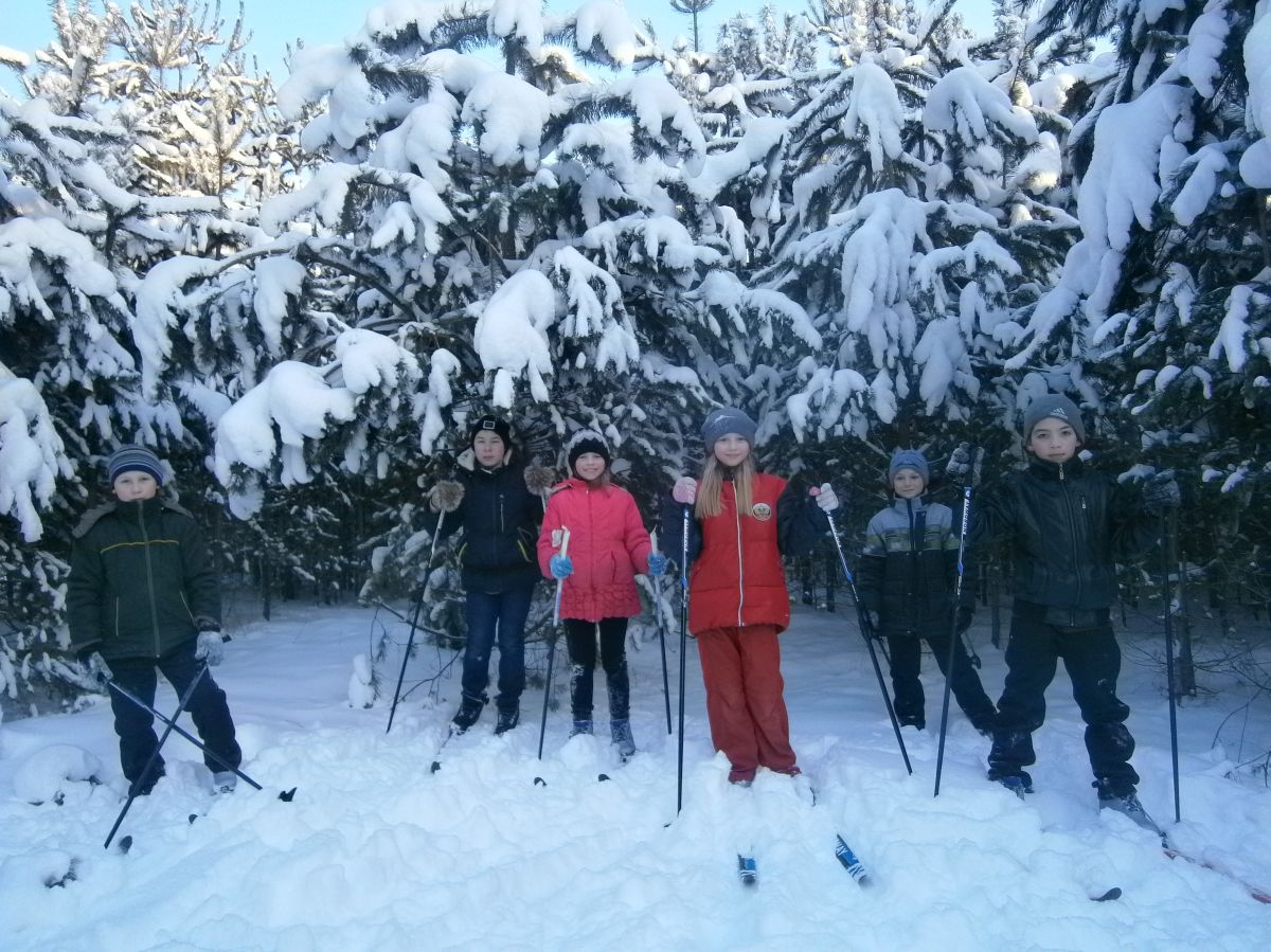 На лыжах по зимнему лесу